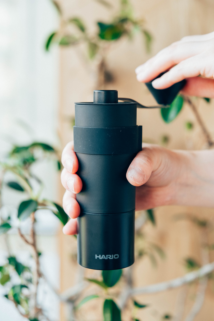 Hario Mini Black Pro