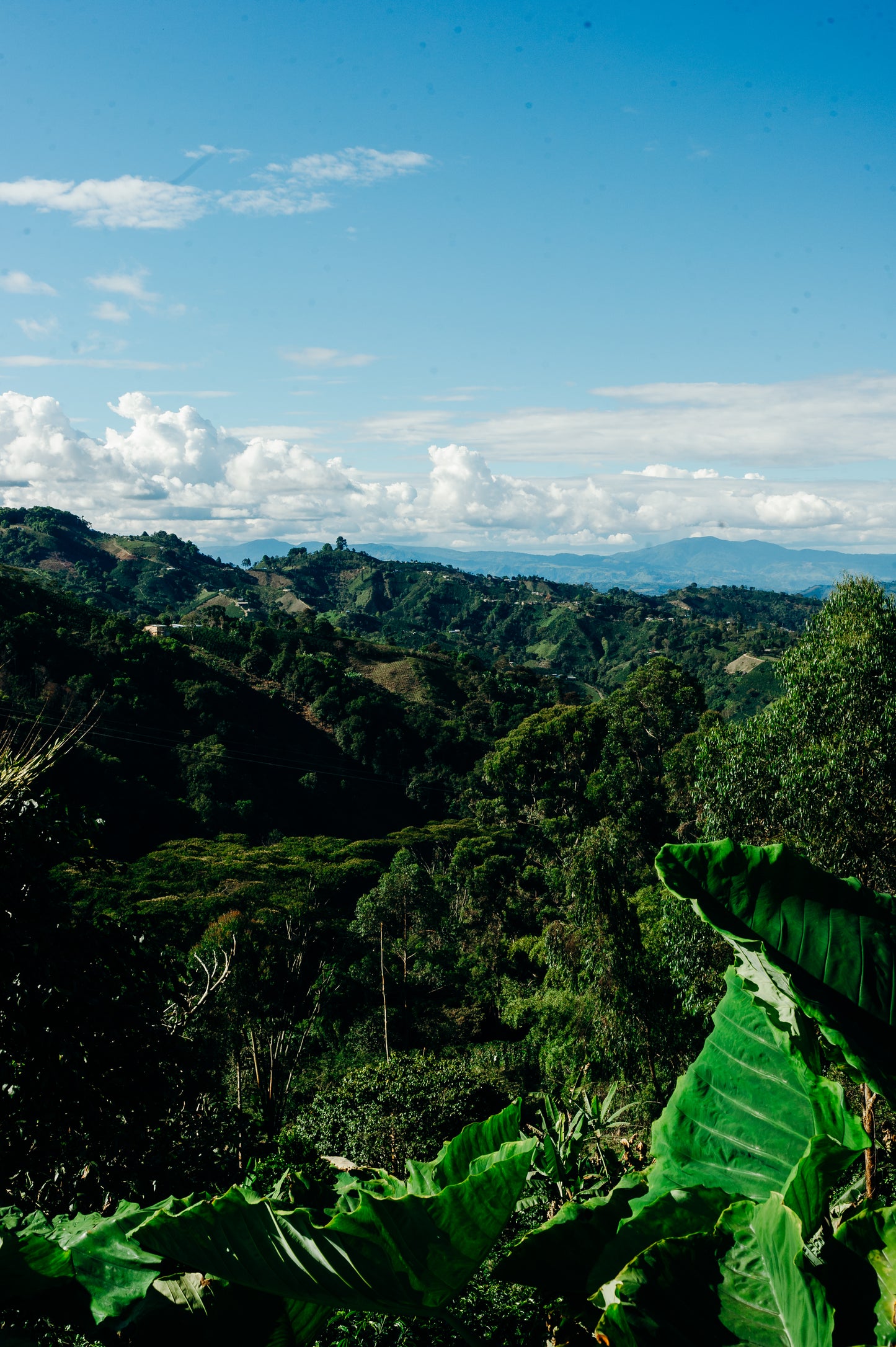 Colombia El Diviso