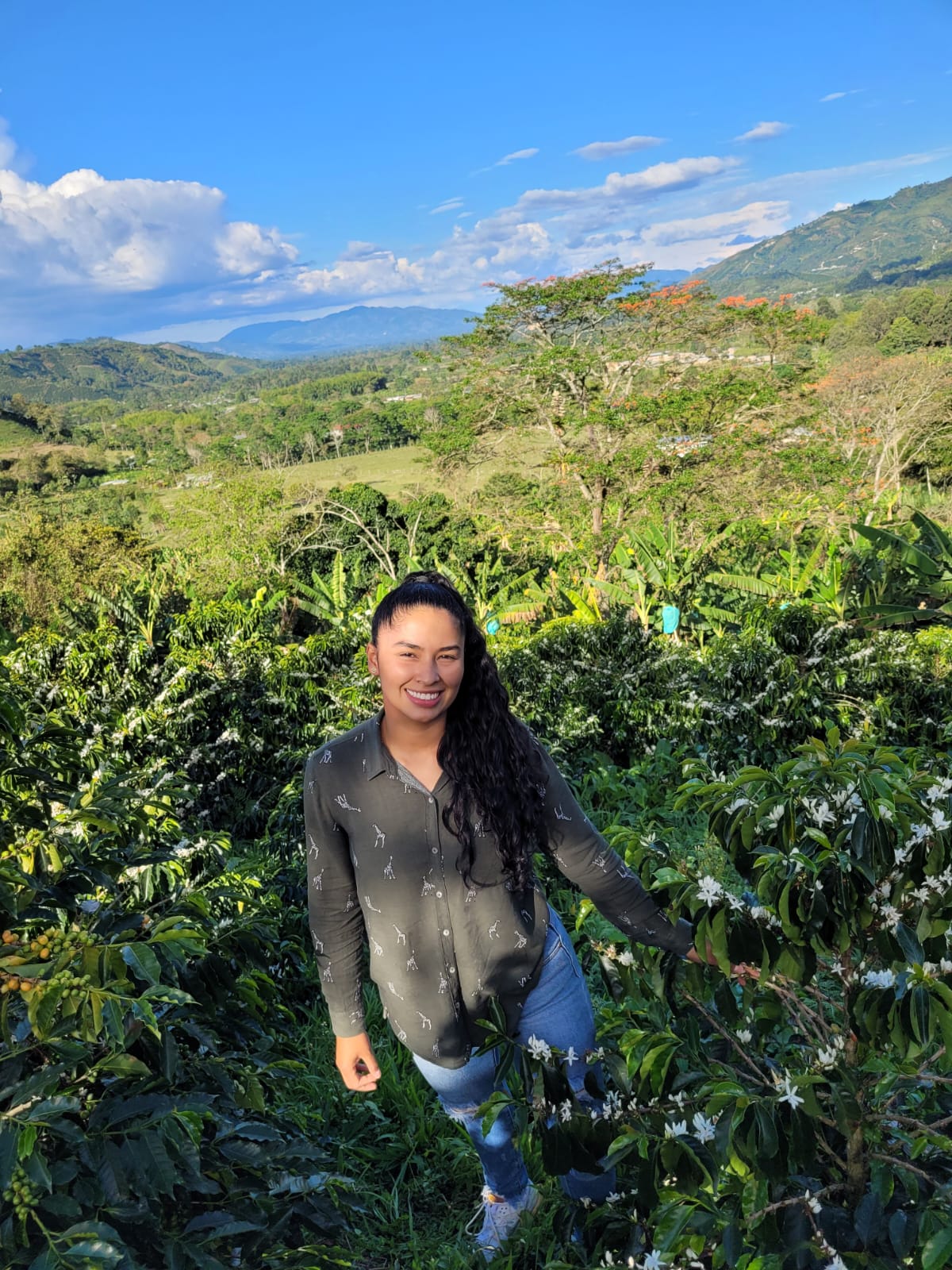 Colombia Zarza Decaf