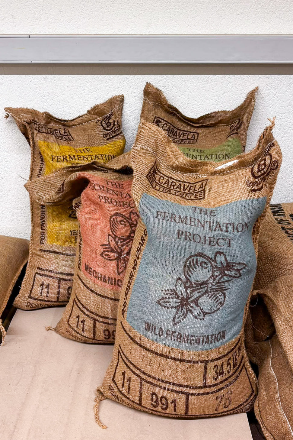The Fermentation Project x ZEFF Tasting Package