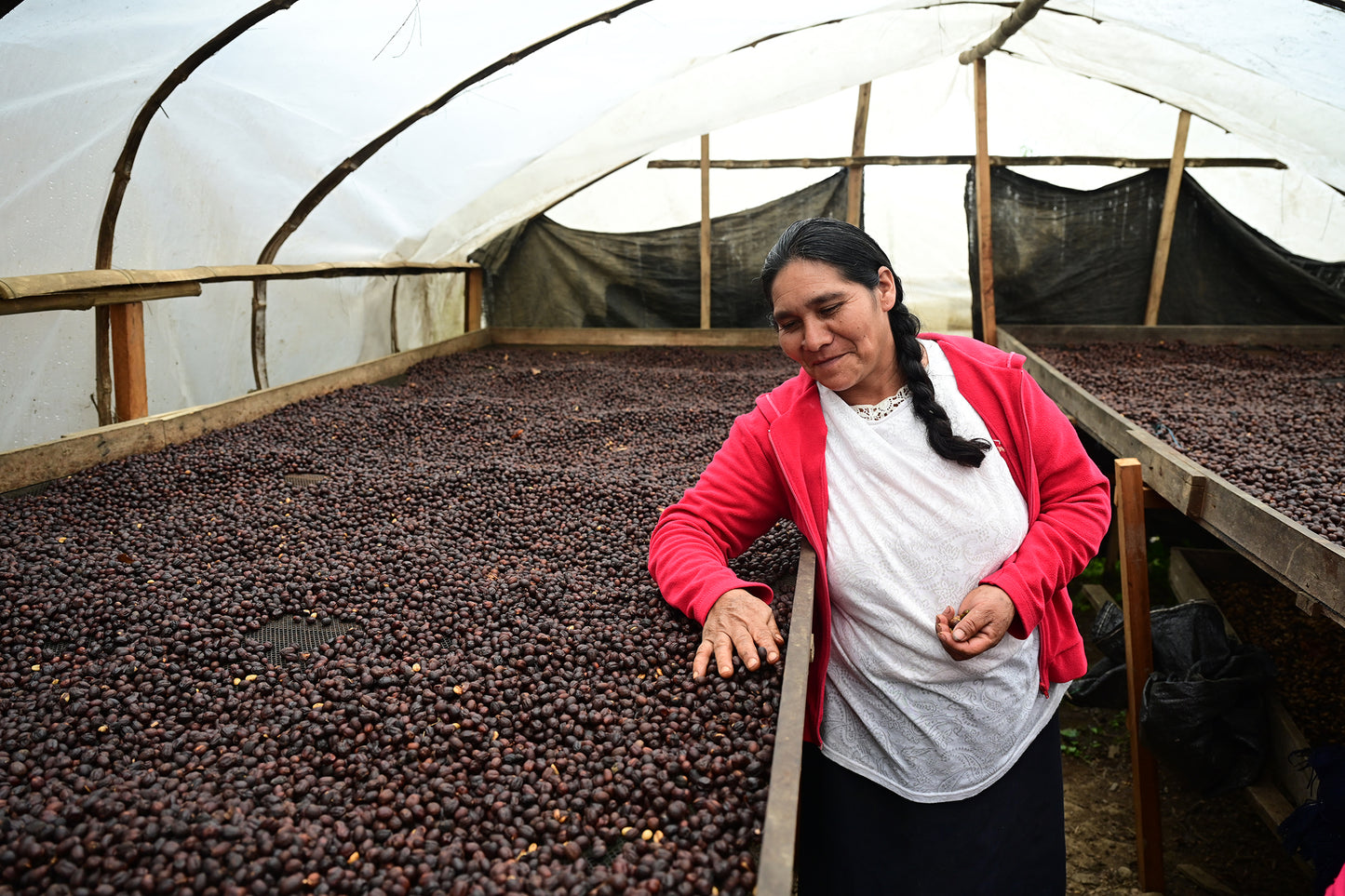 Peru La Confianza