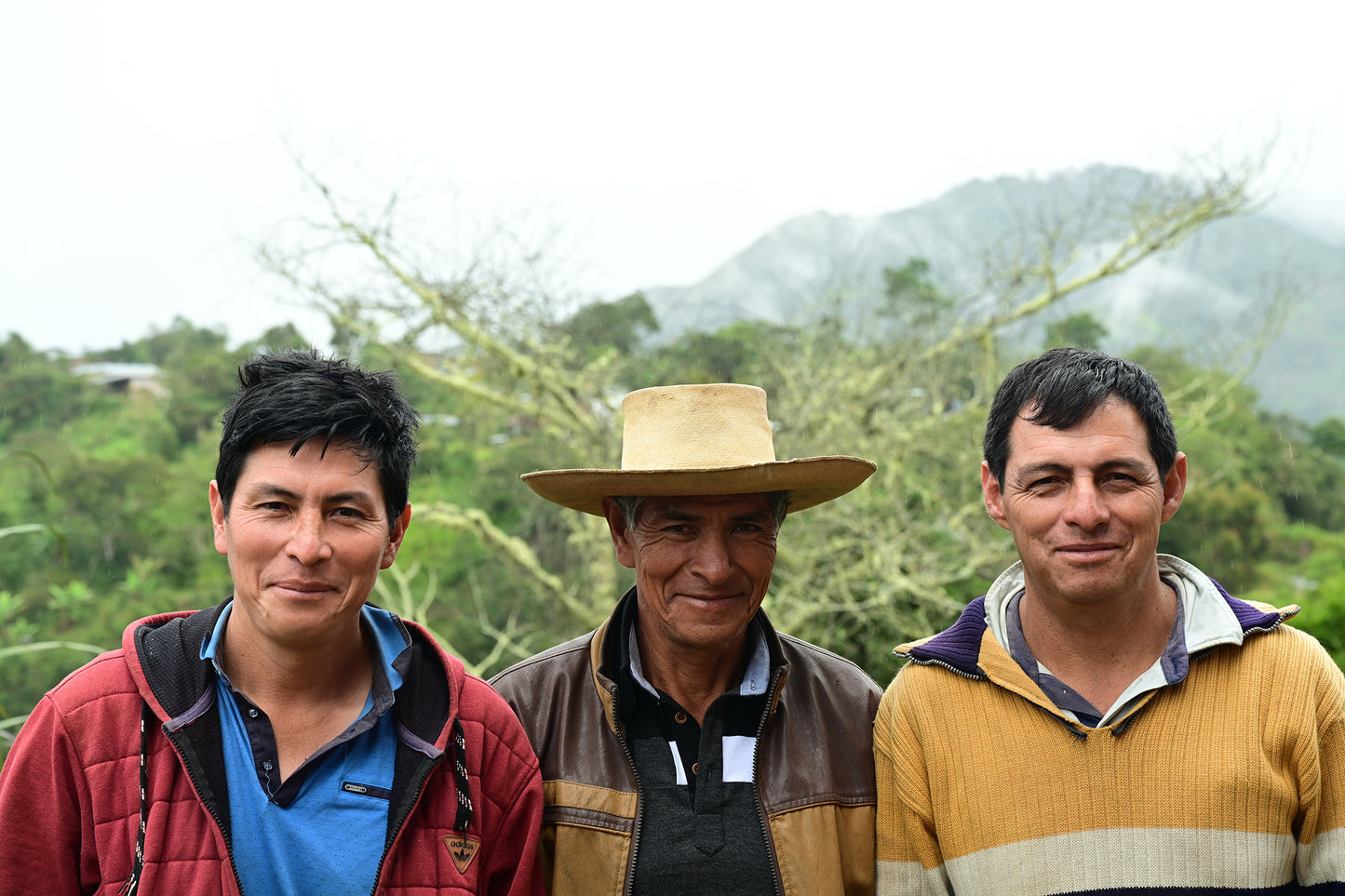 Peru La Confianza