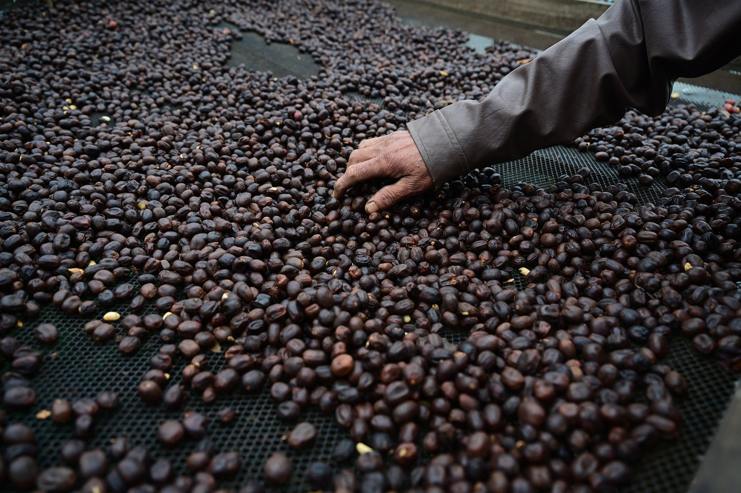 Garçoa x Drip Roasters – Coffee Edition