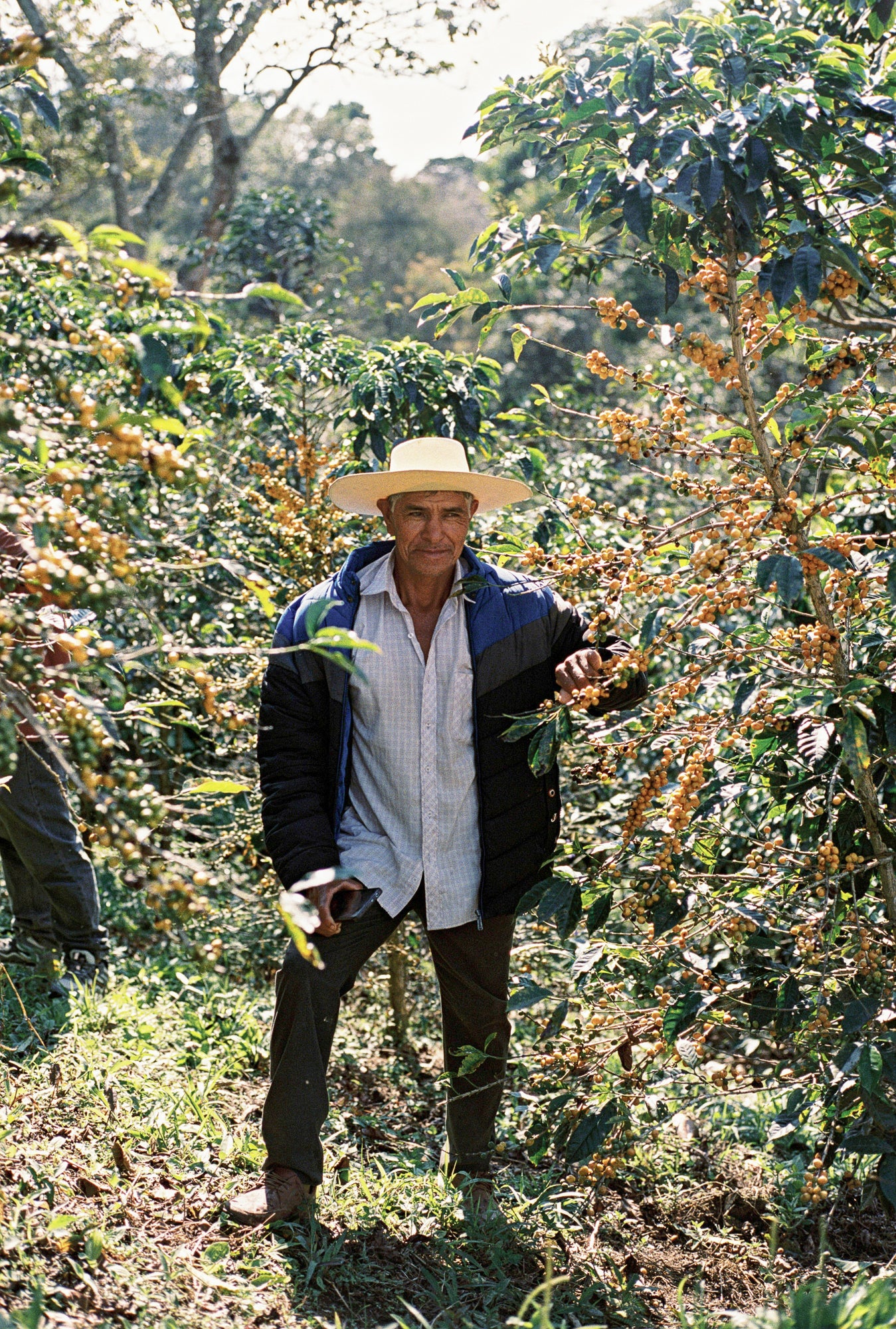 Peru La Confianza