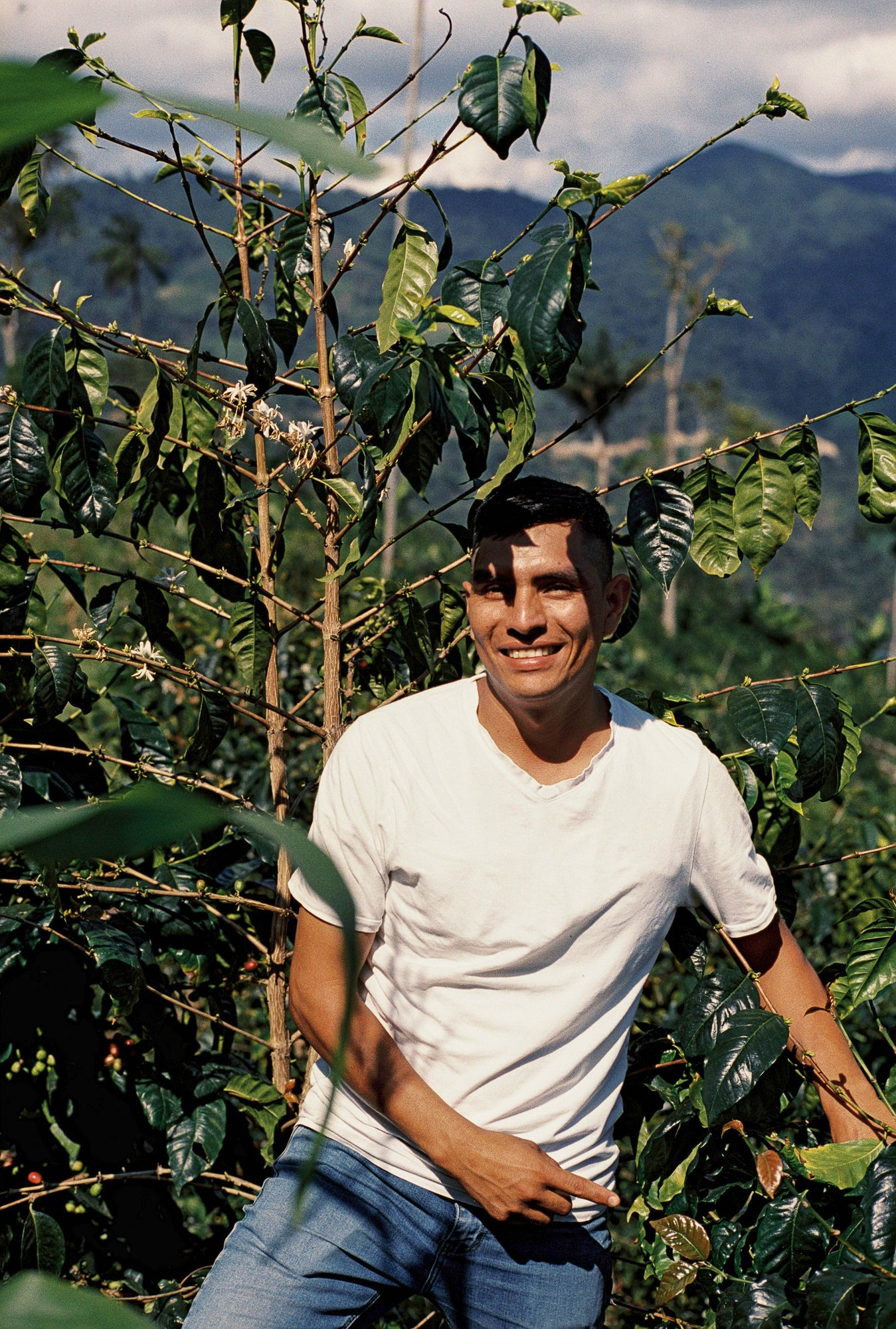 Peru La Confianza
