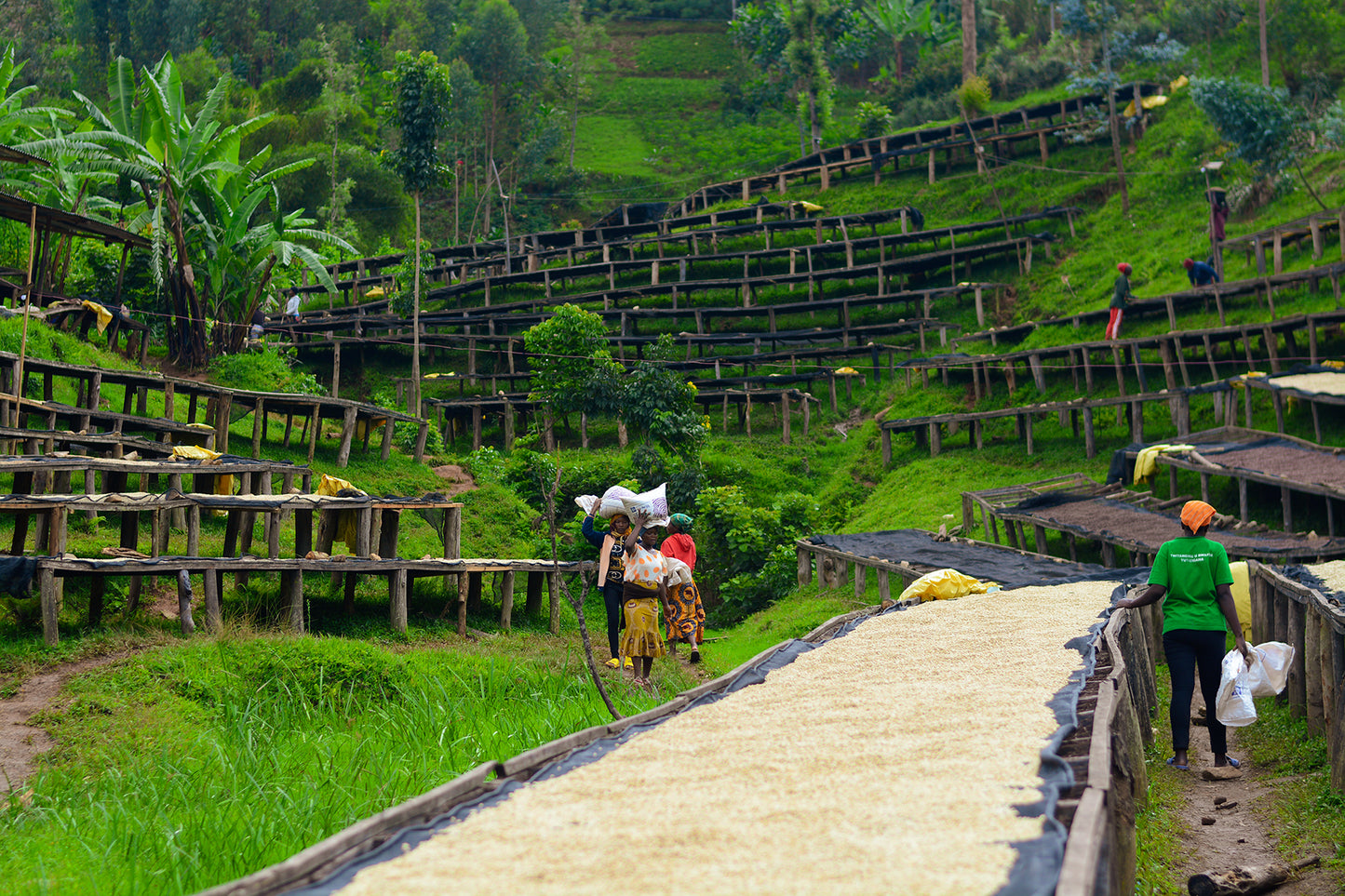 Rwanda Rugori