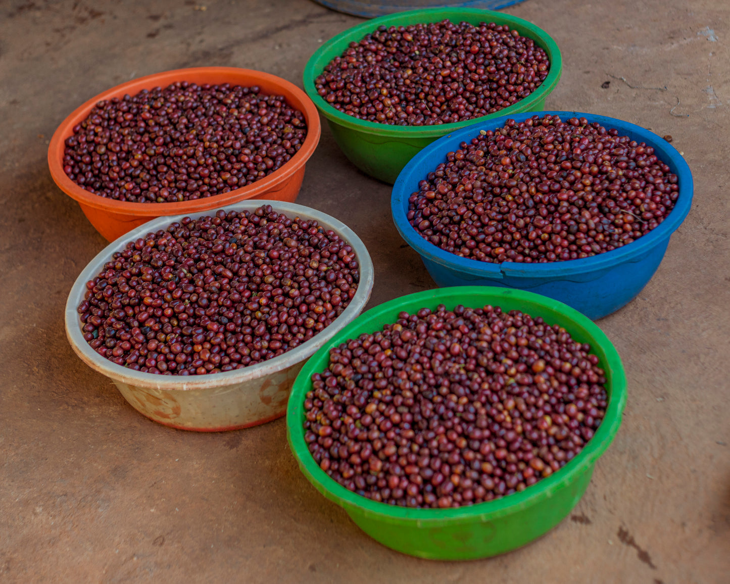 Rwanda Rugori